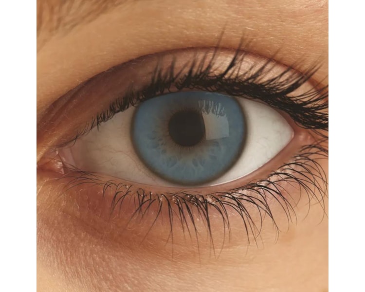 image_ec02a0b9-13ae-4a55-97e8-4f12463b4d9e