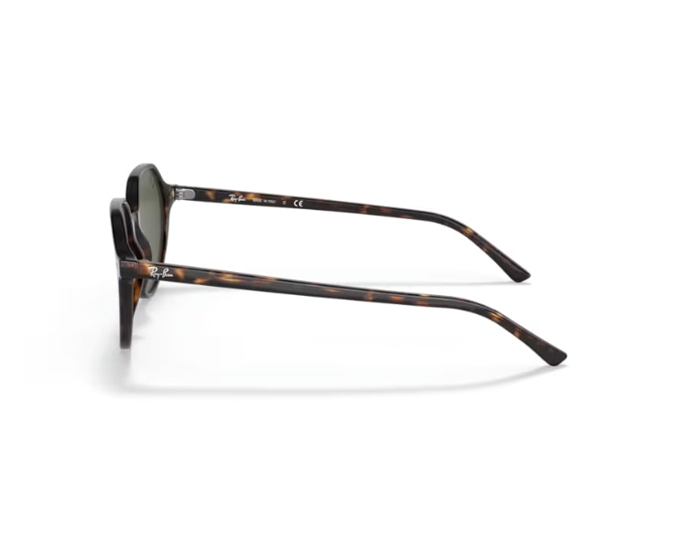 image_981c4228-2648-4d08-b948-ffa426fc8295