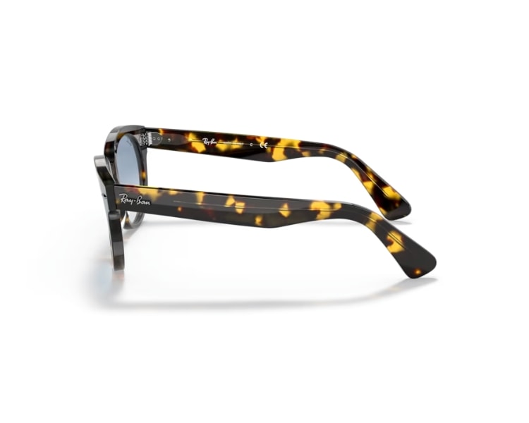 image_745d012e-7bed-442b-a1e7-8a2d1d235090