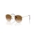 Óculos Solar Ray Ban 0RB3447 Cor 001/51 - Polido Ouro