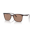 Óculos Solar Ray Ban 0RB4372L Cor 667173 - Polido Marrom translúcido