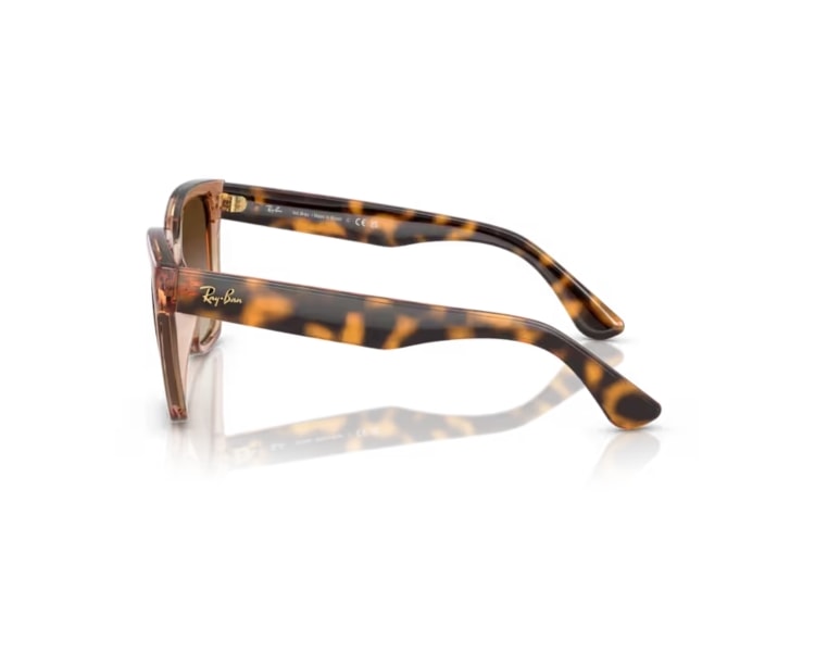 image_b70b65f0-5c98-45de-a005-0da1c845b570