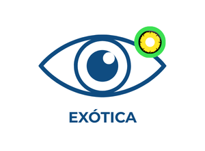 Indicação 7
